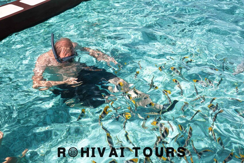 Picture 1 for Activity Bora Bora: Private 1/2 day lagoon safari tour