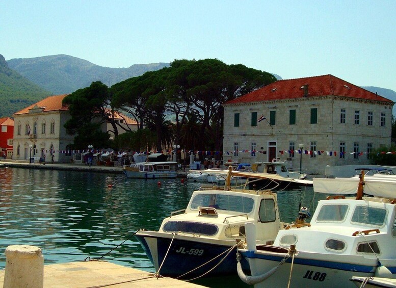 Hvar: Private Walking Tour