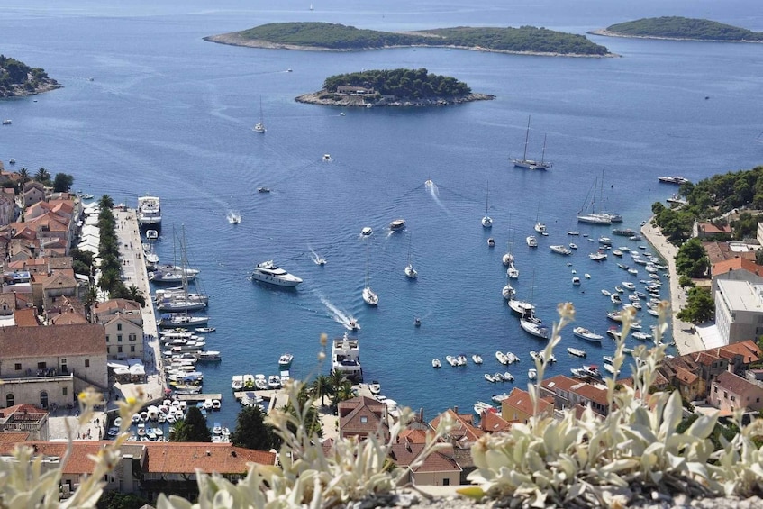 Picture 2 for Activity Hvar: Private Walking Tour