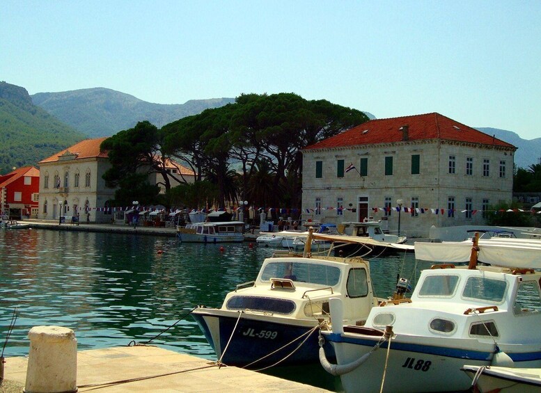 Hvar: Private Walking Tour