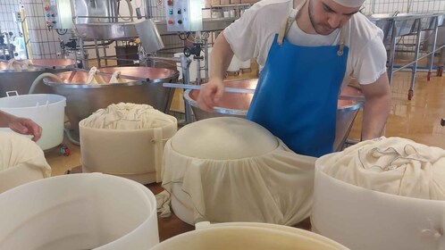 VISITE ET DÉGUSTATION DE LA FERME LAITIÈRE PARMIGIANO DOP PRÈS DE BOLOGNE