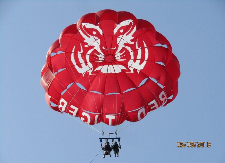 Picture 6 for Activity St Julians : Malta Parasailing - Photos & Videos Included