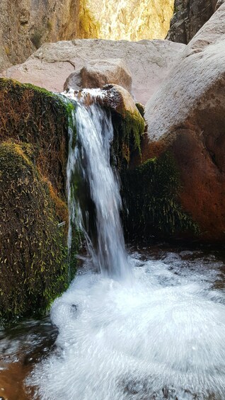 Picture 15 for Activity Undiscovered Tashkent: Gulkam Gorges & Waterfalls