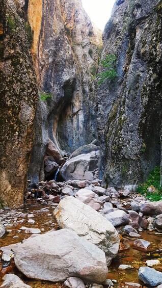 Picture 8 for Activity Undiscovered Tashkent: Gulkam Gorges & Waterfalls