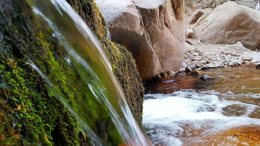 Picture 14 for Activity Undiscovered Tashkent: Gulkam Gorges & Waterfalls