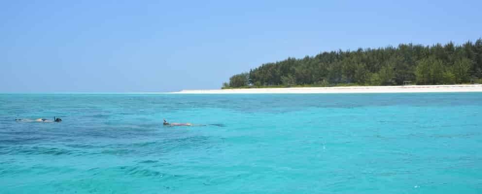 Zanzibar Mnemba Island And Snokling with Fruit