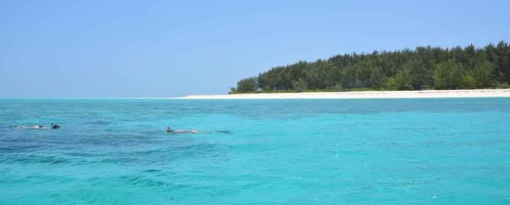 Zanzibar Mnemba Island And Snokling with Fruit