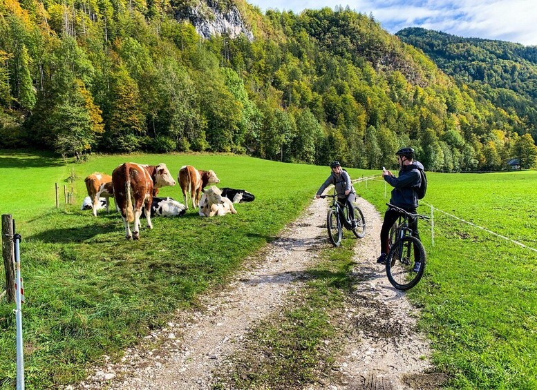 Picture 4 for Activity Bled: EBike Tour Lake Bled & Triglav National Park Private