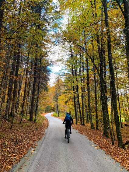 Picture 8 for Activity Bled: EBike Tour Lake Bled & Triglav National Park Private