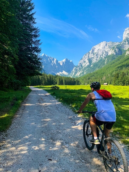 Bled: EBike Tour Lake Bled & Triglav National Park Private