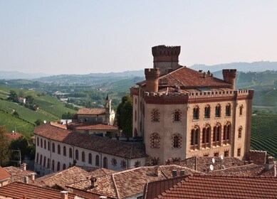 Barolo: Guided Scenic E-Bike Tour with Wine Tasting