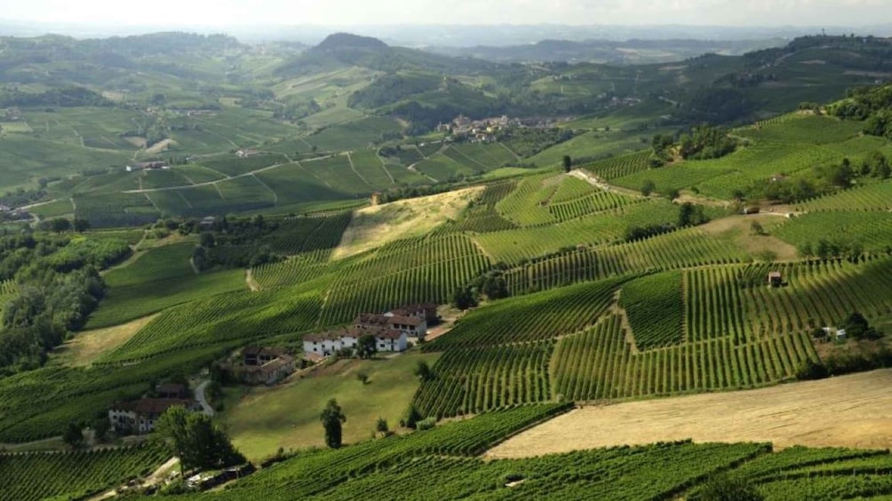 Picture 2 for Activity Barolo: Guided Scenic E-Bike Tour with Wine Tasting