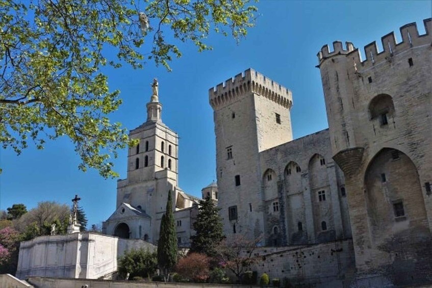 Picture 2 for Activity Avignon: Around The Palace Tour