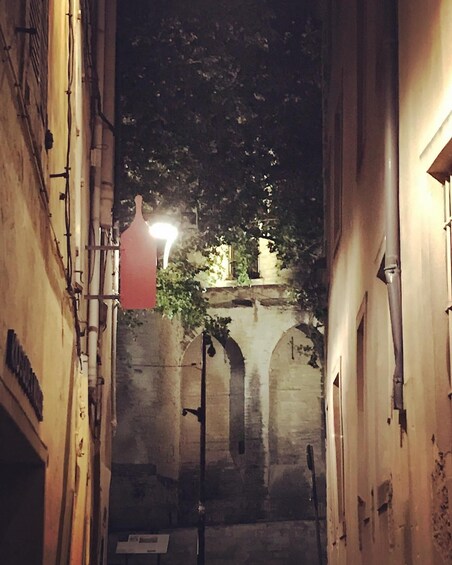 Picture 3 for Activity Avignon: Around The Palace Tour