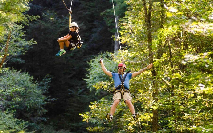 Oak Hill: Zipline Tour in New River Gorge National Park