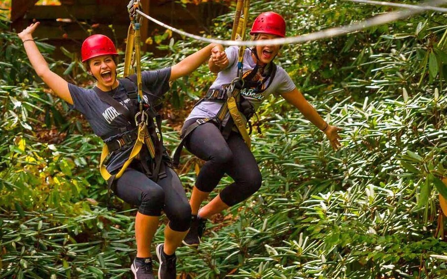 Picture 1 for Activity Oak Hill: Zipline Tour in New River Gorge National Park