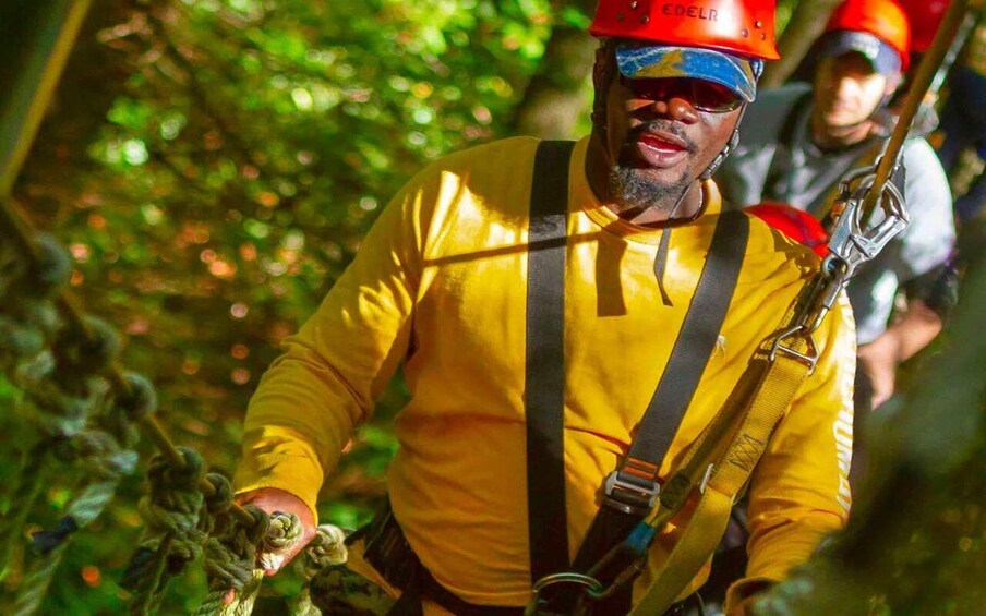 Picture 4 for Activity Oak Hill: Zipline Tour in New River Gorge National Park