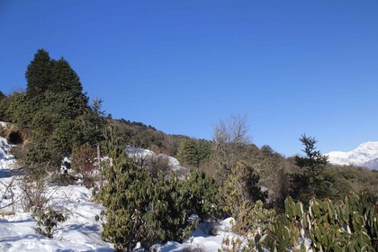 Desde Pokhara: excursión económica de 5 días a Poon Hill y aguas termales