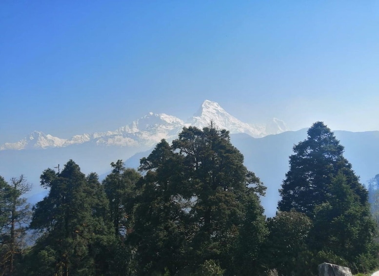 Picture 3 for Activity From Pokhara: Budget, 5 day Poon hill,Hot spring trek