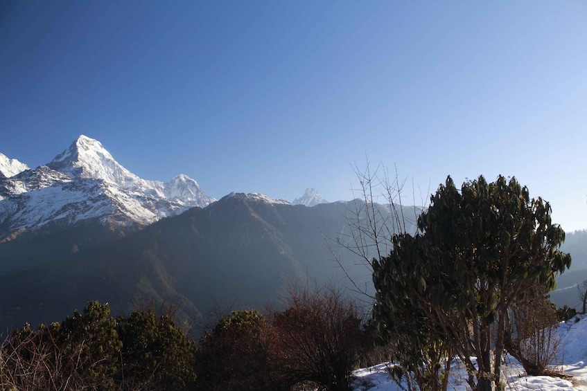 Picture 12 for Activity From Pokhara: Budget, 5 day Poon hill,Hot spring trek