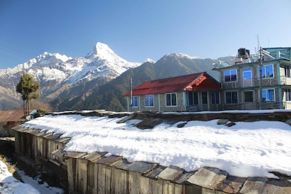 From Pokhara: Budget, 5 day Poon hill,Hot spring trek