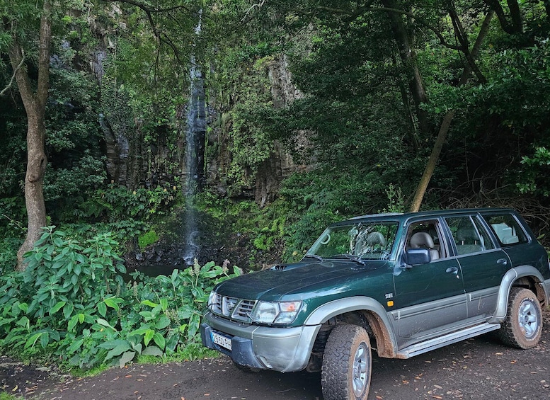 Picture 11 for Activity Private Tour:Off-road Adventure on Madeira Island