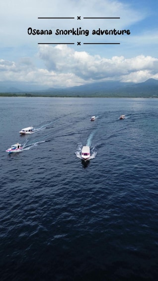 Picture 3 for Activity From Gili Air : Sharing/Group Snorkling Trip 3 Island