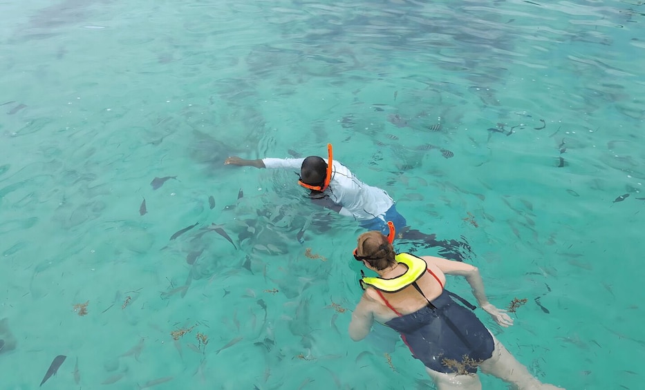 Picture 6 for Activity George Town: North Sound Lagoon Boat Tour with Snorkeling