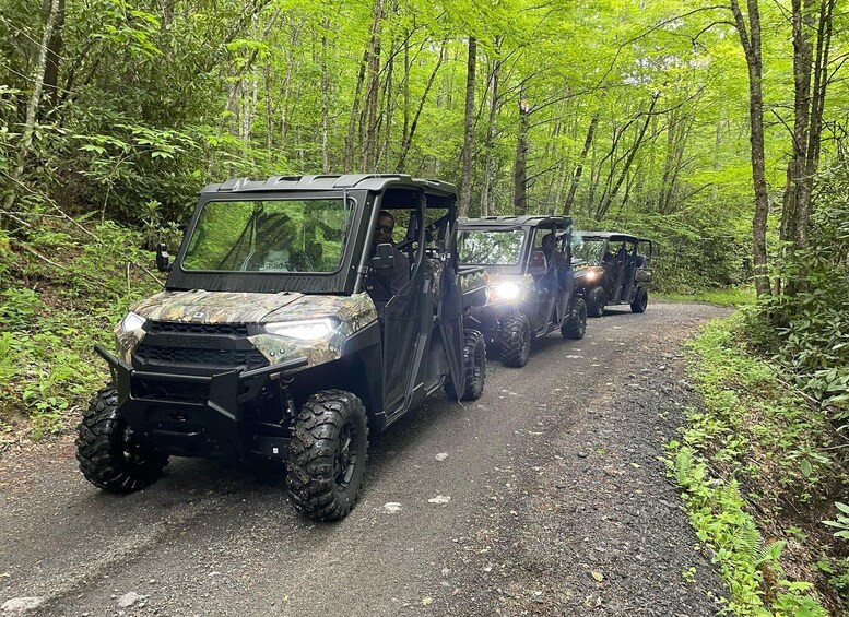 Picture 6 for Activity (4 HR) GUIDED Smoky Mountain UTV Eco Elk Adventure