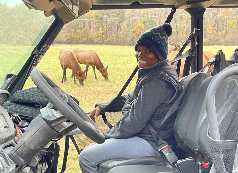 Picture 4 for Activity (4 HR) GUIDED Smoky Mountain UTV Eco Elk Adventure