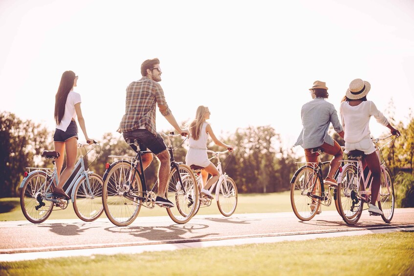 Picture 1 for Activity Madrid: Guided Electric Bike Tour. City center & Retiro Park