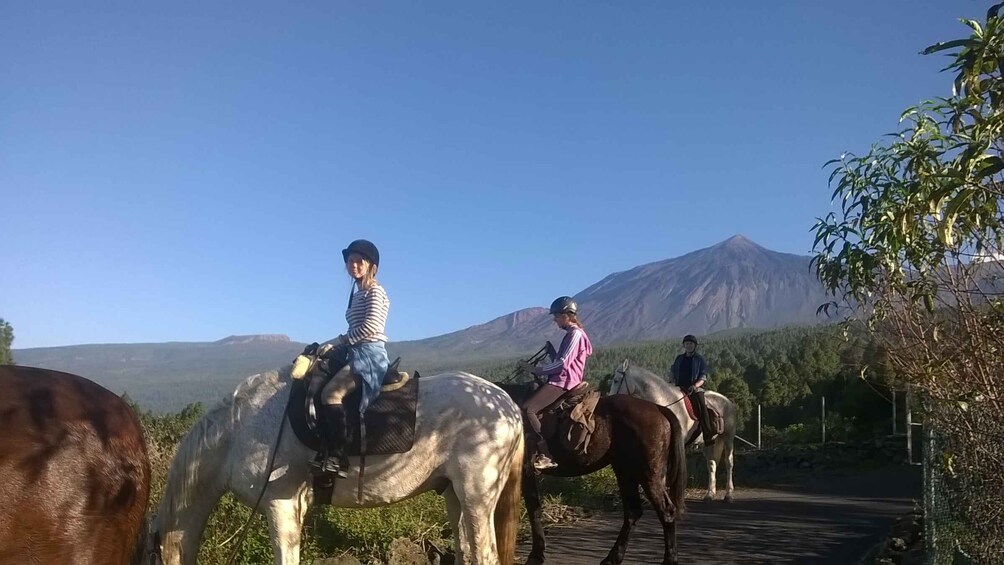 Picture 4 for Activity Tenerife: Guided Horseback Riding Tour to the Lomo Forest