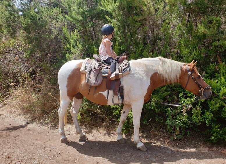 Picture 5 for Activity Tenerife: Guided Horseback Riding Tour to the Lomo Forest