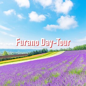 From Sapporo: 10-hour Customised Private Tour to Furano