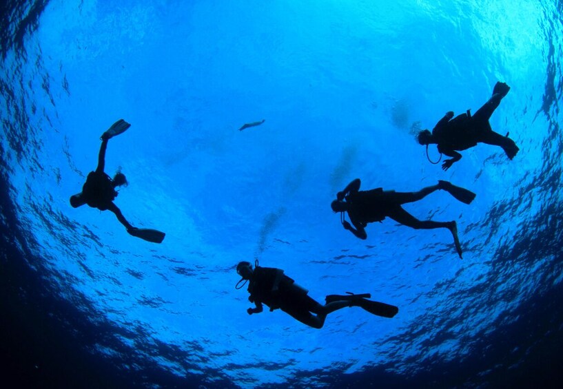 Picture 3 for Activity Dubai: 2-Day PADI Advanced Open Water Course in Fujairah