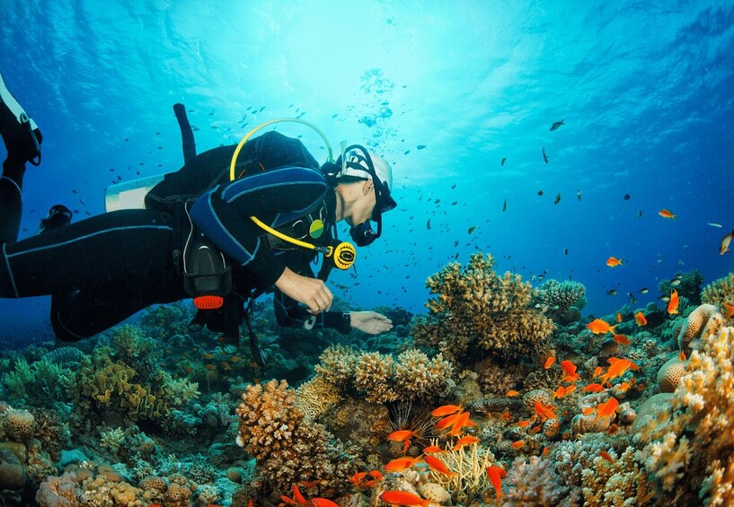 Dubai: 2-Day PADI Advanced Open Water Course in Fujairah