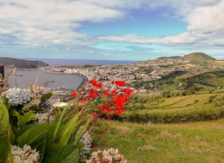 Horta, Faial Island: Half Day Tour