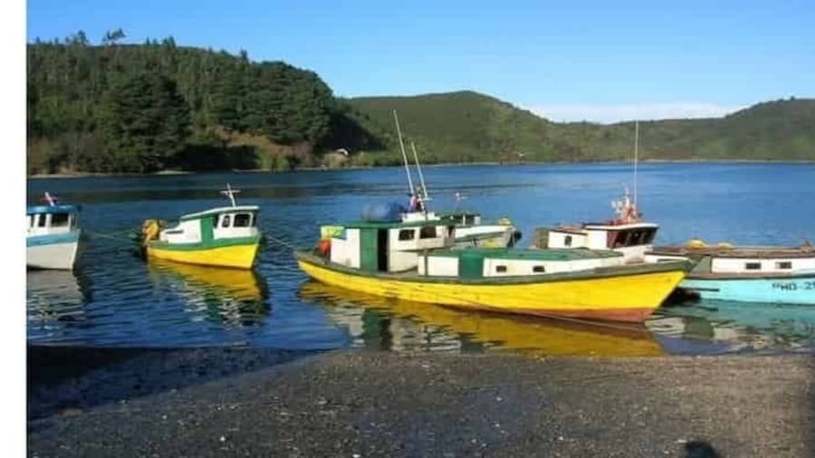 Private. City Tour Puerto Montt and Puerto Varas
