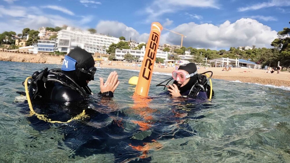 Picture 2 for Activity Tossa de Mar: PADI Scuba Diver Certification Course