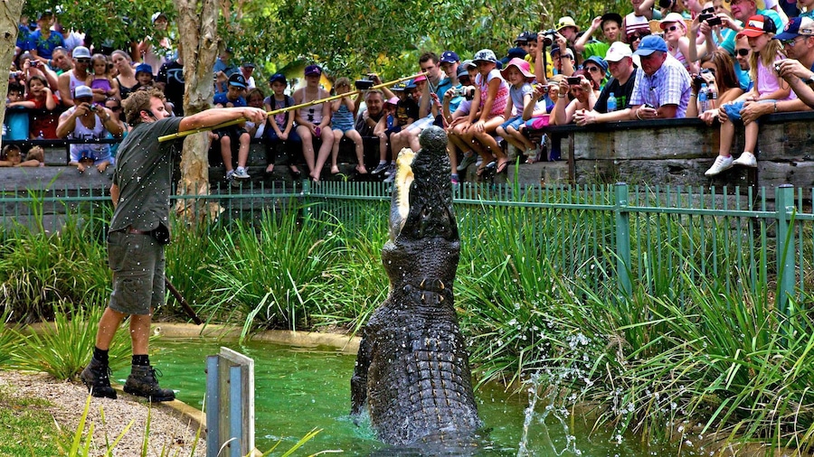 Somersby: Australian Reptile Park Day Pass - 9am to 5pm