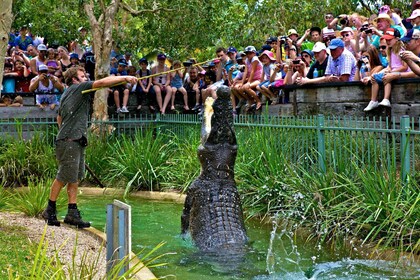 Somersby : Carte journalière du parc australien des reptiles - de 9 h à 17 ...