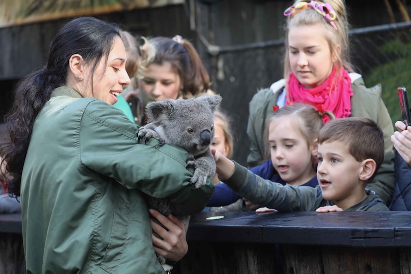 Picture 1 for Activity Somersby: Australian Reptile Park Day Pass - 9am to 5pm