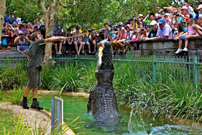 Somersby: Australian Reptile Park Day Pass - 9am to 5pm