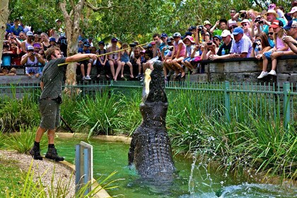 Somersby: Australian Reptile Park Day Pass - 9 Uhr bis 17 Uhr