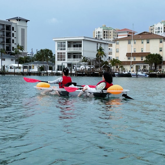 Picture 5 for Activity Clearwater: Guided Clear Kayaking Tour