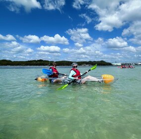 Clearwater: Guided Clear Kayaking Tour