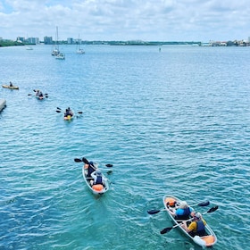 Kayaking clear through Clearwater