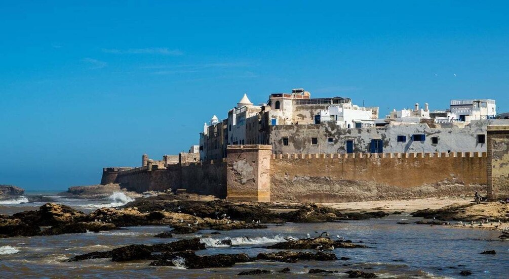 Picture 1 for Activity From Marrakesh: Essaouira Full-Day Trip