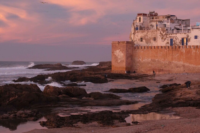 Picture 7 for Activity From Marrakesh: Essaouira Full-Day Trip