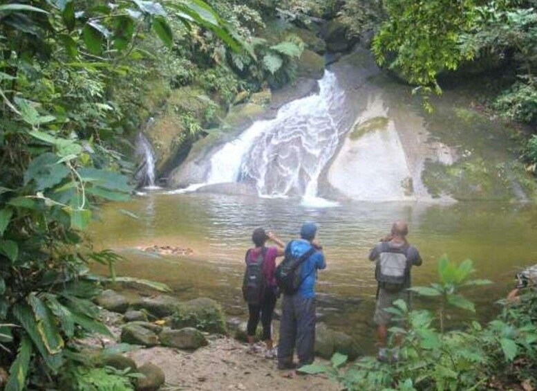 Picture 7 for Activity Santos Shore Excursion: Rain Forest and Indian Reserve